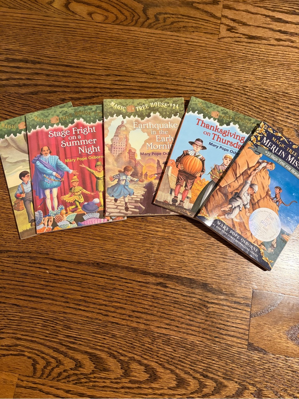 35+ Magic Tree House Book Stack Children's Chapter Books - Picture 4 of 6